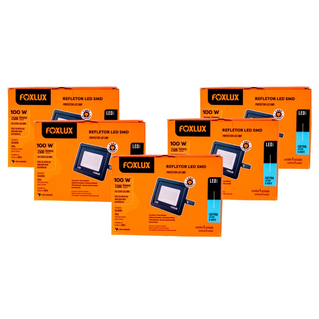 Kit 5 Refletor LED 100W Bivolt, Luz Branca 6.500K Foxlux