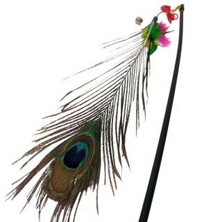 Brinquedo Fishing: Onde Comprar | BuscaProdutos