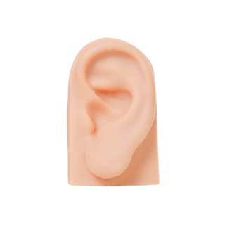 Orelha De Silicone Expositor De Brincos Piercings E Jóias - Orelha Esquerda em Oferta na Shopee