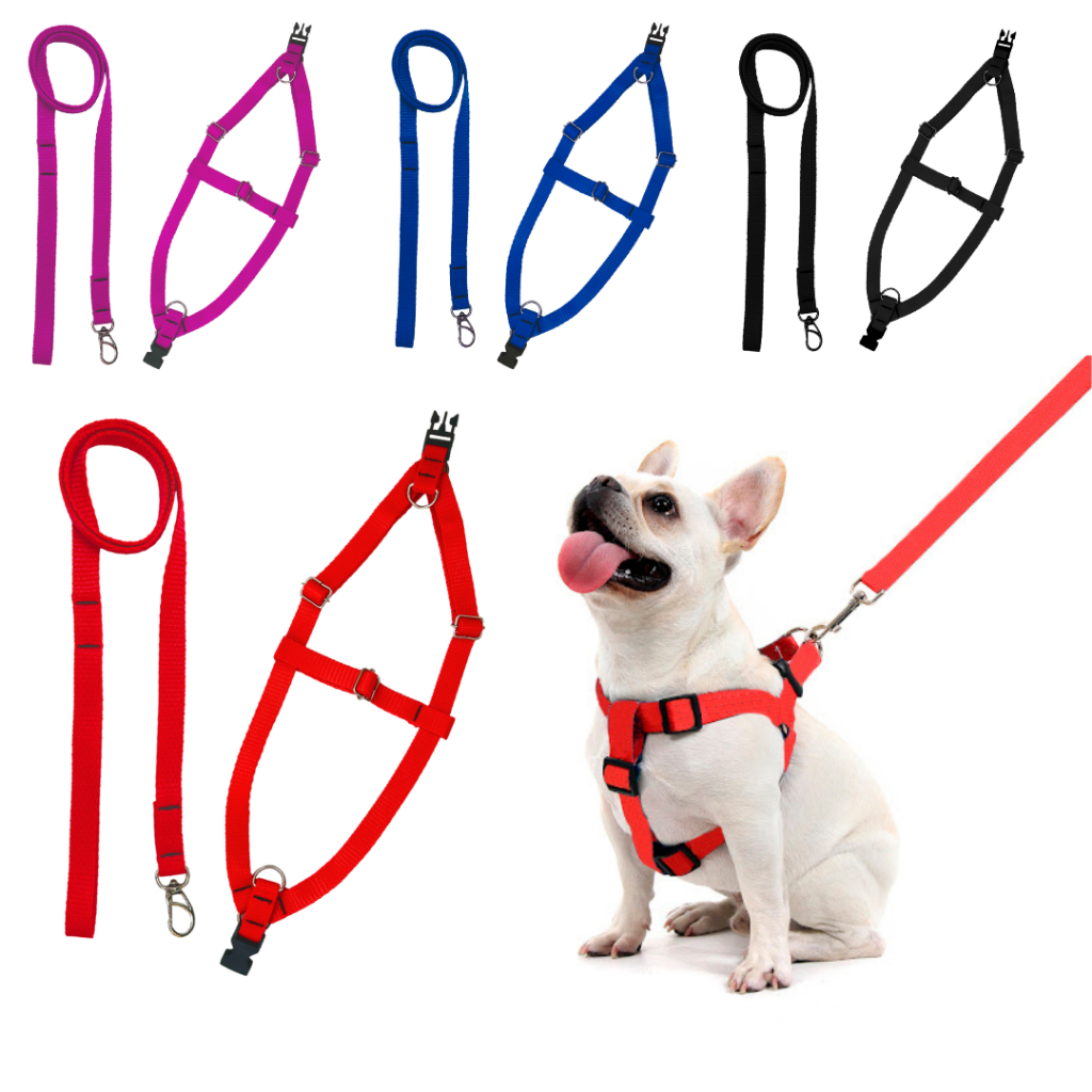 Peitoral e guia para cães pequeno porte ajuste de tamanho em Oferta na Shopee