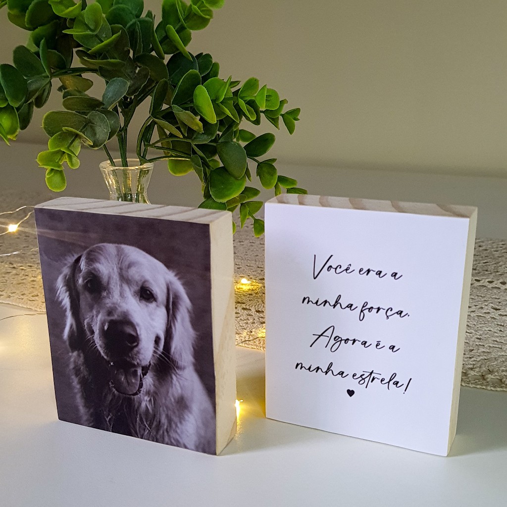 Quadros Personalizados "Minha Estrela" Pets Cachorro Homenagem