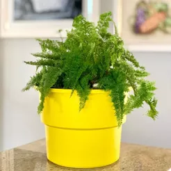 Vaso Plantas Autoirrigável Antidengue Para Flores Hortas Com Cachepô Auto Irrigável