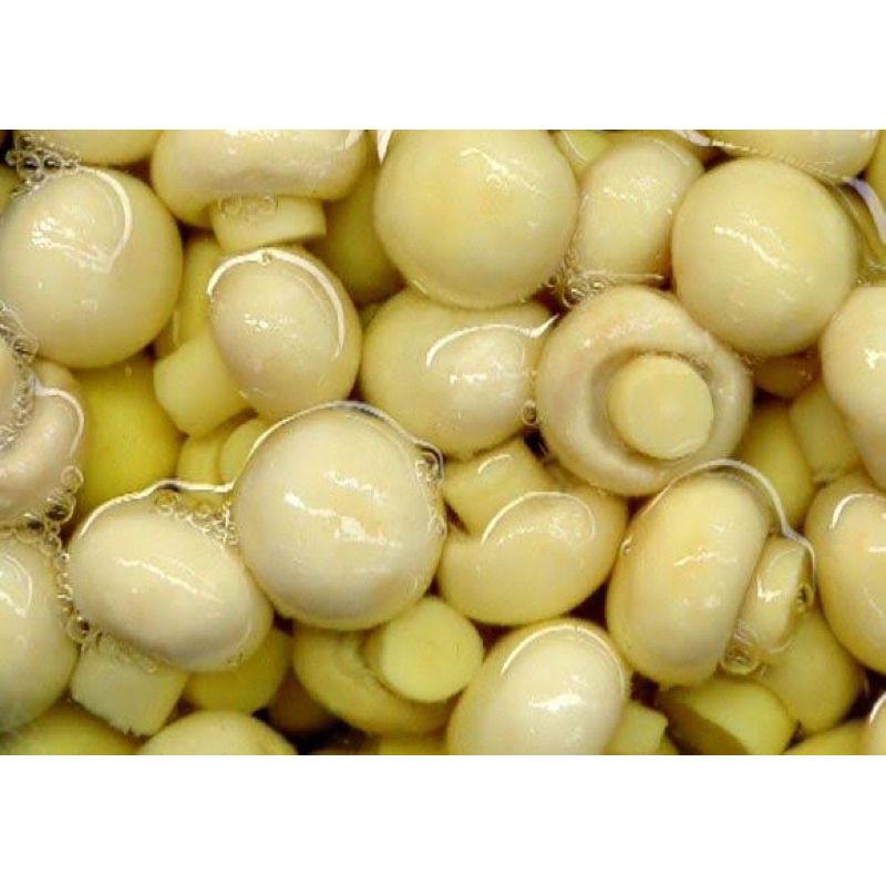 Champignon Inteiro Premium Importado