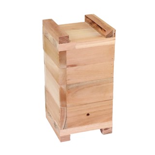 Caixa Para Abelha Jataí 12x12 com Acetato Eucalipto Rosa Se em Oferta na Shopee