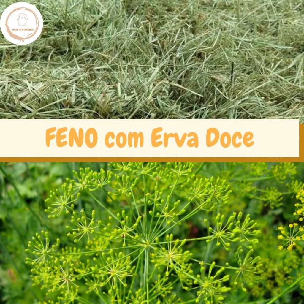 Feno Coast Cross com Erva Doce - 500g