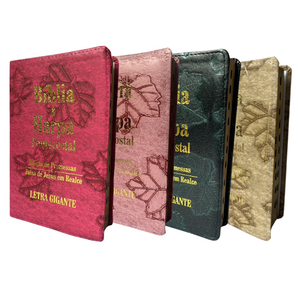 Bíblia Sagrada Letra Gigante Luxo - FOLHA ECO - FALAS DE JEUS EM REALCE  VERMELHO em Oferta na Shopee