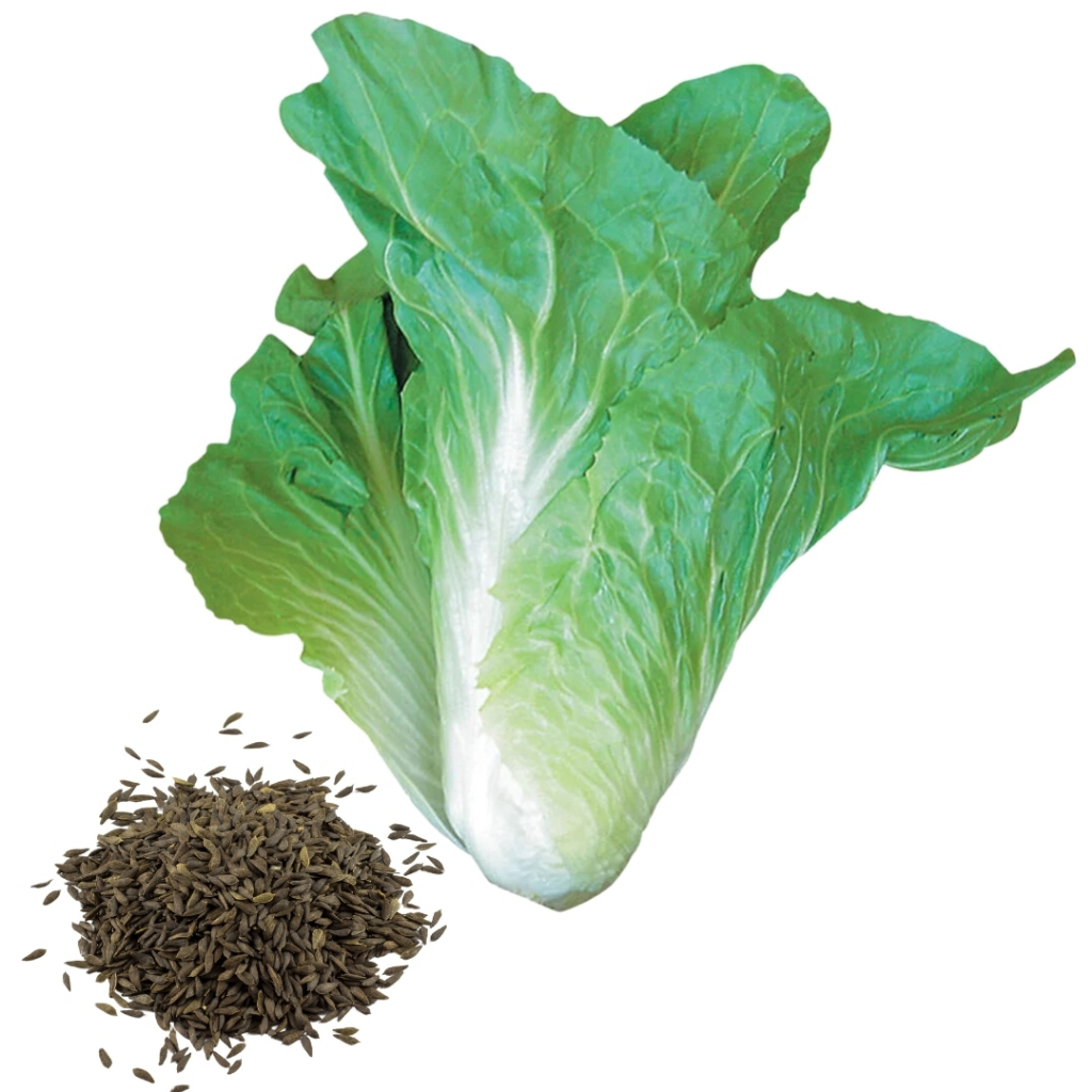 Almeirao Pão de Açúcar - Comprar com Melhor Preço em Essenciais para Assar