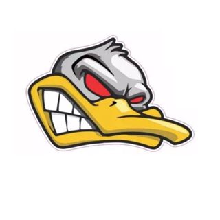 ADESIVO DUCK GRS 10 CM MOTO/CARRO em Oferta na Shopee