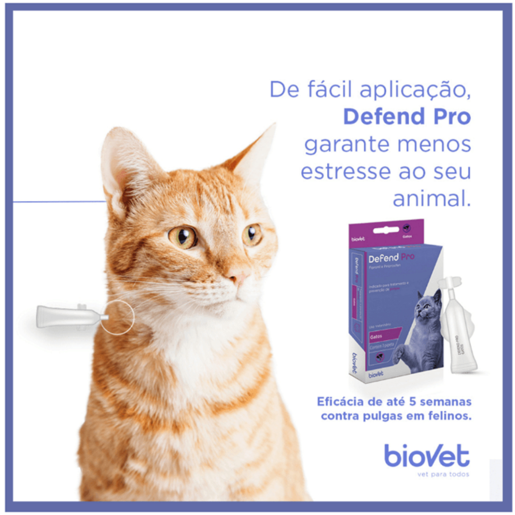 Antipulgas para Gatos Defend Pro até 10kg  Biovet 0.50ml - 1 Pipeta Caixa Lacrada