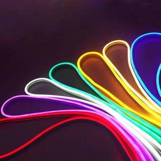 Fita De Led Neon Unicolor 12 V 5 Metros Bivolt Sem Cola Super Flexivel Resistente em Oferta na Shopee