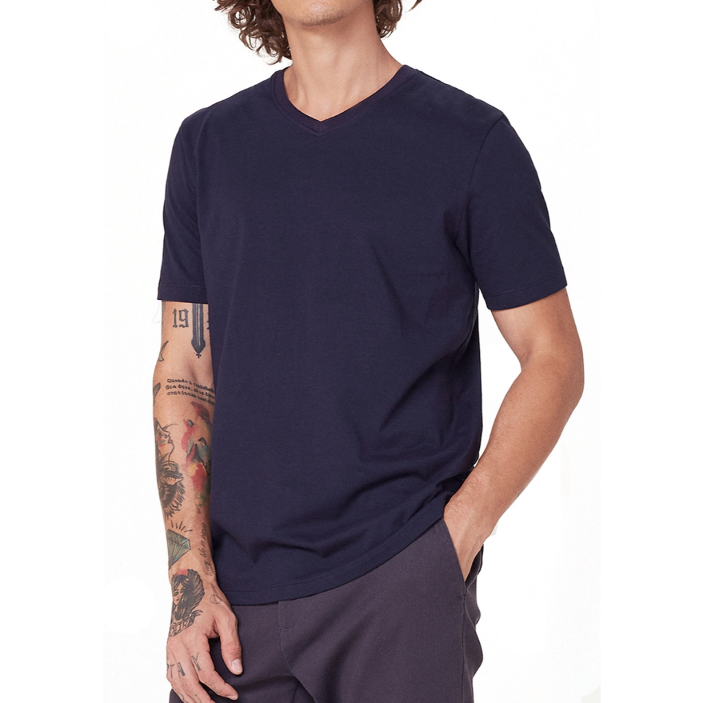 Kit C/2 Camisetas Masculina Hering  em Malha de Algodão  201