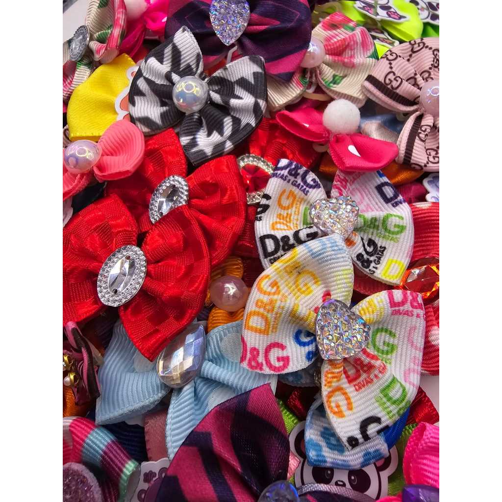 10 Laços Pet Banho e Tosa Sortidos