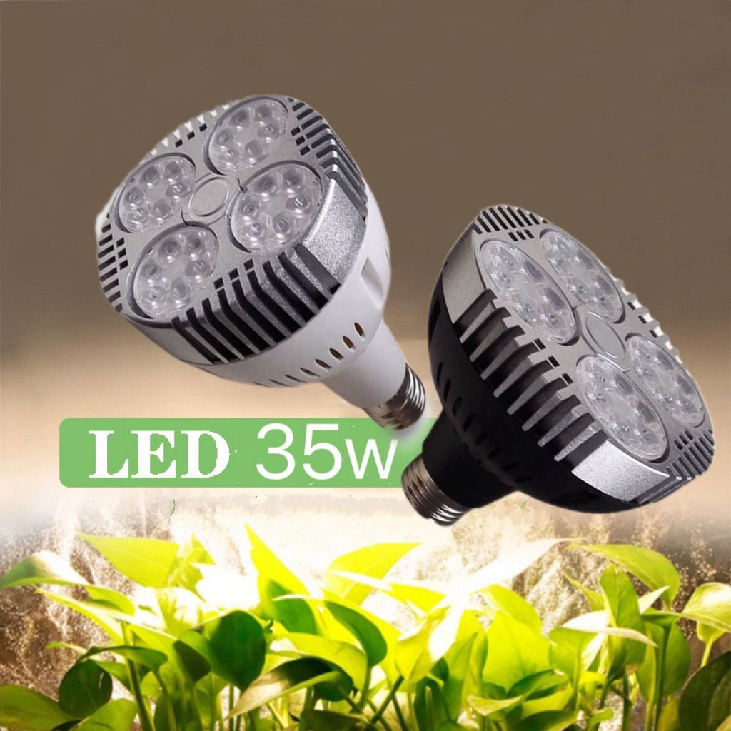 Lâmpada Par 30: Guia Completo e Onde Comprar | BuscaProdutos