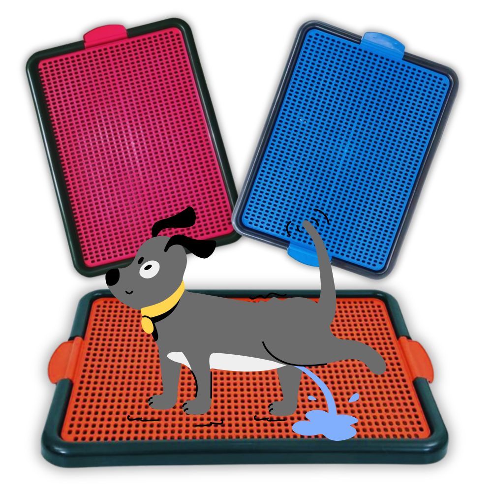 Tapete Sanitário Plástico + 3 refis internos - Banheiro Canino Higiênico - Educa Pet Lavável - 50x40