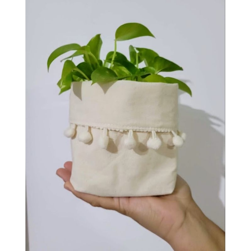cachepô  pompom  vaso de planta porta treco em Oferta na Shopee