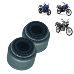 Par Retentor Válvula Yamaha Fazer 250 Xtz Lander Tenere Mt03 Xt660 Xt 225 WGK 10118341
