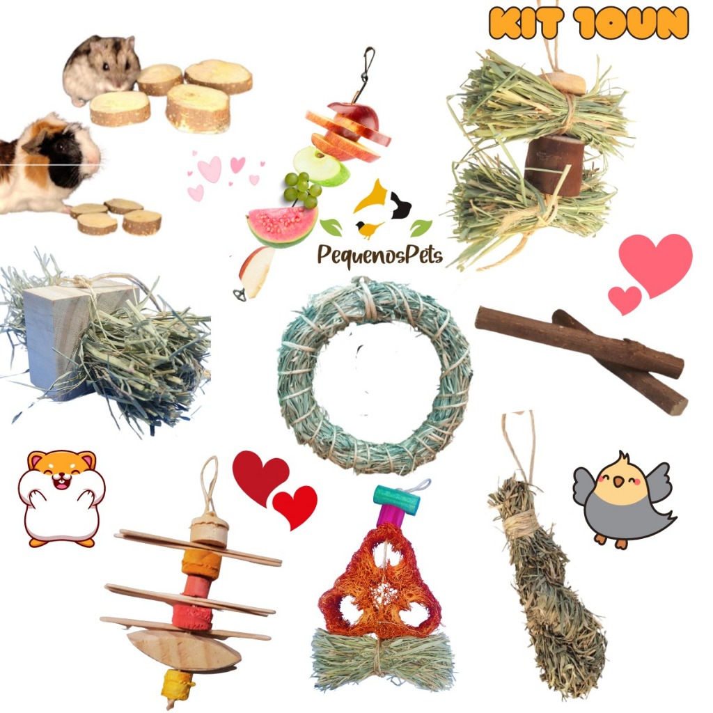 brinquedo para aves e Roedores 10pçs