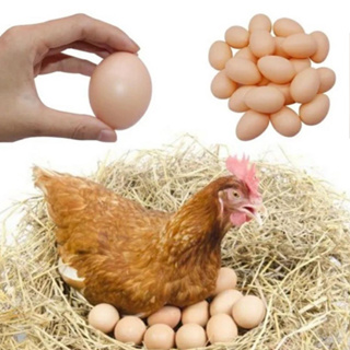 Ovo Caipira Falso de Plástico Galinha Indez em Oferta na Shopee