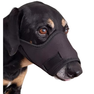 Focinheira Para Cachorro Pequeno Médio Grande Porte Couro Sintético Preto Oferta em Oferta na Shopee