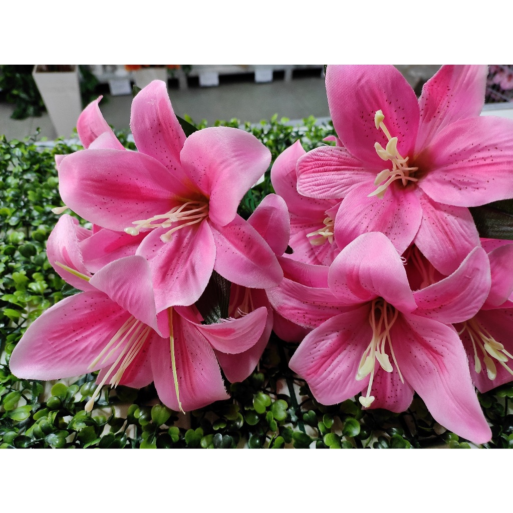 kit com 5 Buquê de Lirio artificiais com 5flores(rosa) — imagem 2 de 2