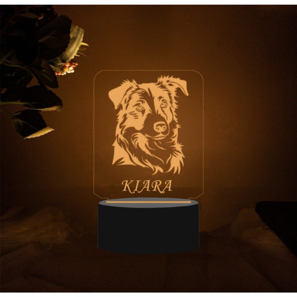 LUMINÁRIA PET CACHORRO BORDER COLLIE - PERSONALIZADA COM NOME -  ABAJUR LED 7 CORES em Oferta na Shopee