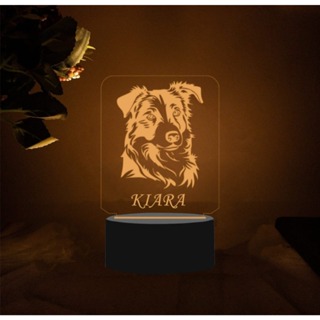 LUMINÁRIA PET CACHORRO BORDER COLLIE - PERSONALIZADA COM NOME -  ABAJUR LED 7 CORES em Oferta na Shopee