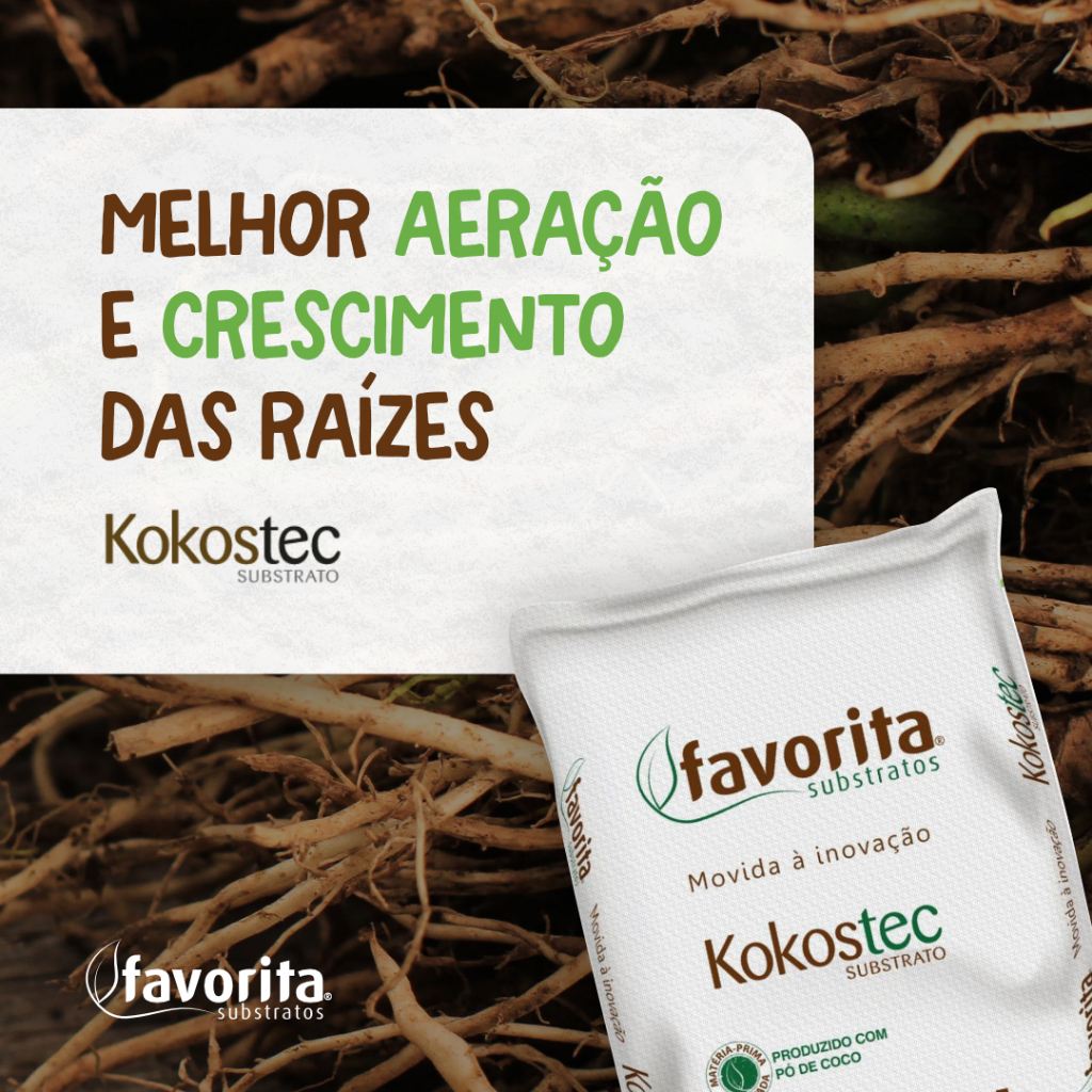 Substrato Pó de Coco Para Plantas Mudas Germinação e Répteis Kokostec 50Lts Favorita