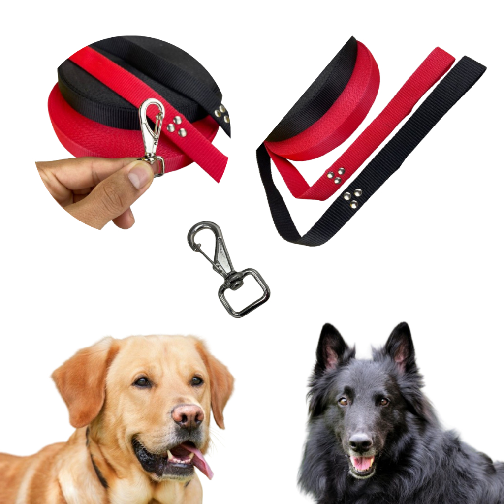 Guia Passeio Gato: Onde Comprar | BuscaProdutos