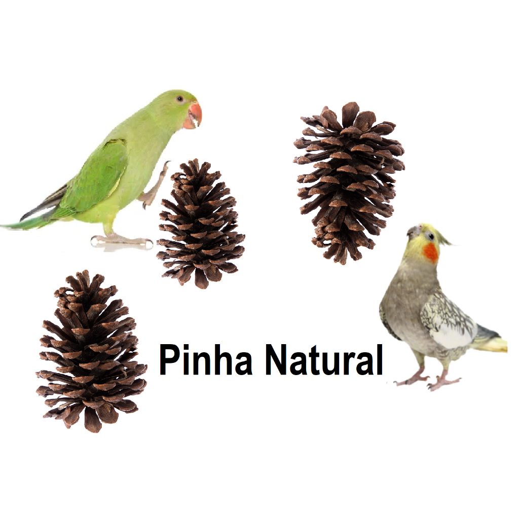 Brinquedo para Calopsita Pinha Natural Agaporni Periquito Ring Neck Papagaio e Roedores em Oferta na Shopee