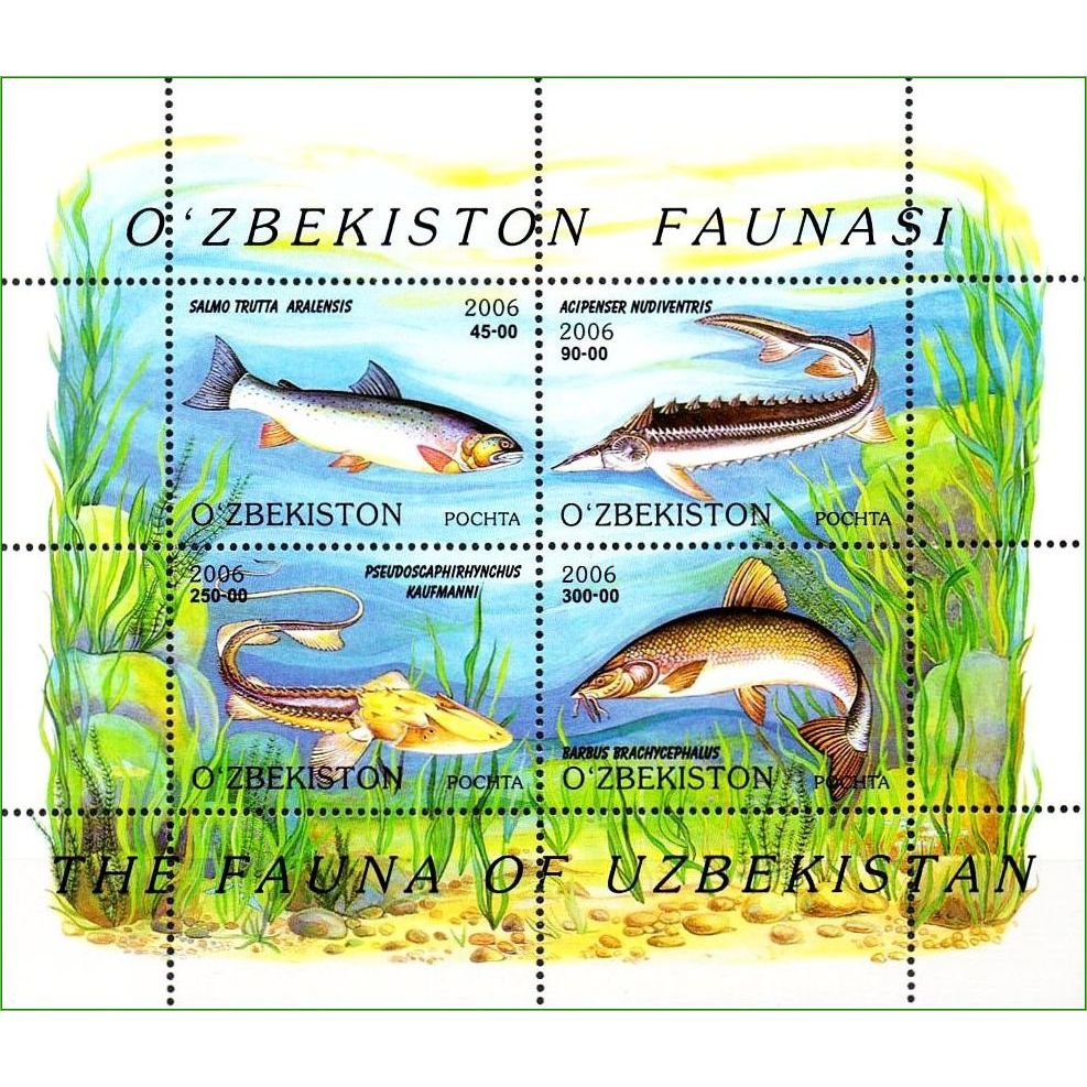 Uzbequistão - Peixes - 2006 - S/Completa - FR8268 - Filatelia -  Selos