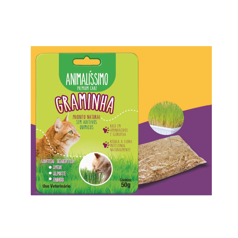 Graminha Para Gatos Aveia Alpiste Painço Natural Premium Pet