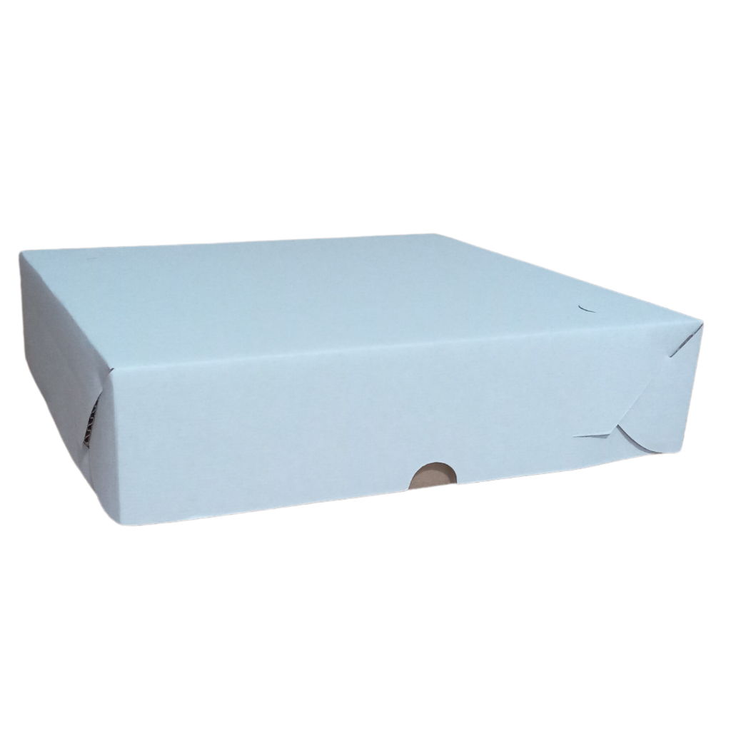 Caixa De Papelão Para Transporte de Doces Brigadeiros Salgados 32cm
