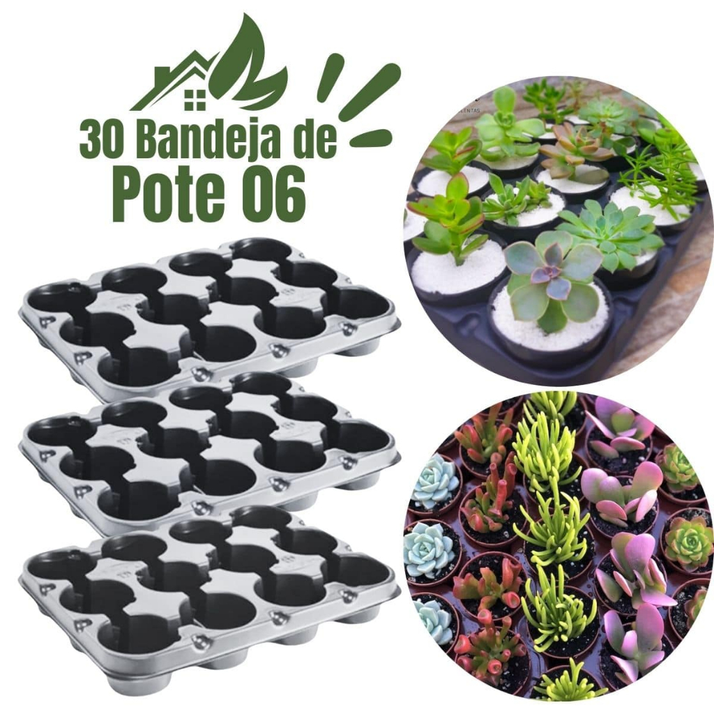 30 Bandeja Porta Vaso De Pote 6 Sementeira Para Revenda de Muda e Produtor NP06 15 Celulas Cavidades De Plástico Preto
