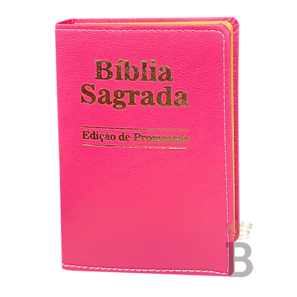 Bíblia Sagrada Letra Pequena Luxo Pink