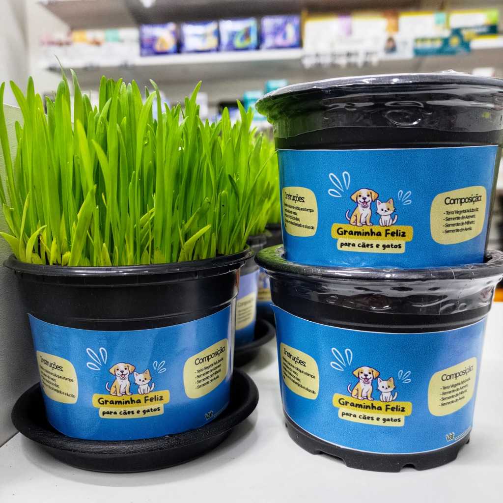 Kit Sementes Graminha para Gatos e Cães - Elimina Bolas de Pelos e Ajuda na digestão