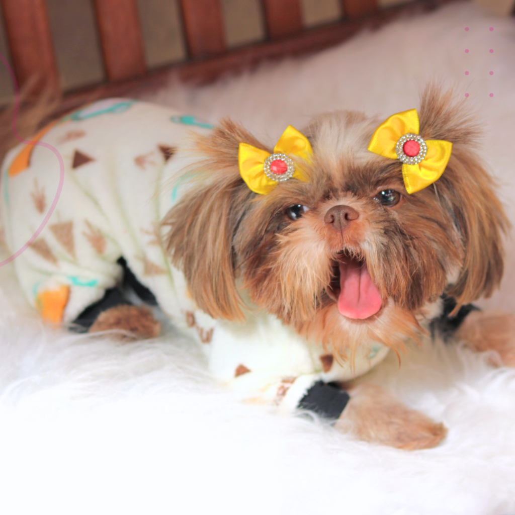 Macacão Cachorro Ultrasoft Cores Inverno