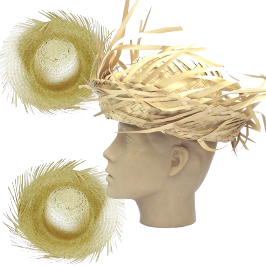 kit 10 Chapéu de Palha Desfiado Festa Junina Julina cristal chapeu palha