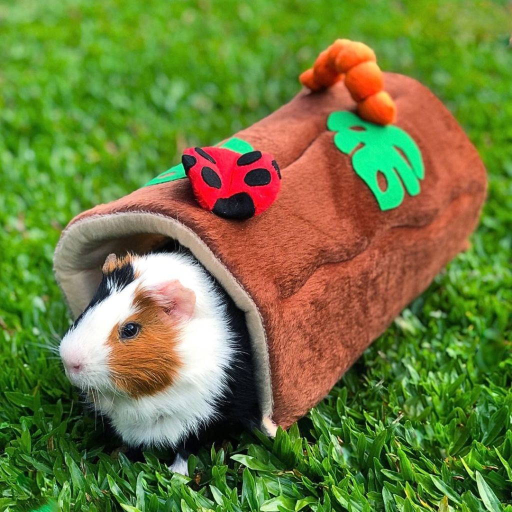 Túnel Tronco p/ Porquinho da Índia - Guinea Pig Props - Timão  e Pumba - Floresta