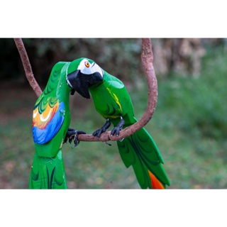 Escultura Arara De Madeira Casal No Cipó Artesanal Rústico para Jardim e Varanda em Oferta na Shopee