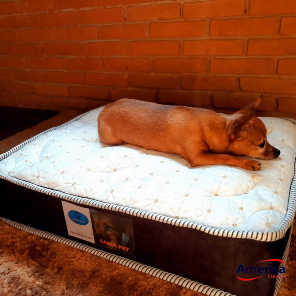 Cama para cachorro pequeno - Colchopet sob medida - 63x43x10cm