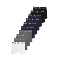 Kit 10 Cuecas Boxer Microfibra Polo Wear Masculina