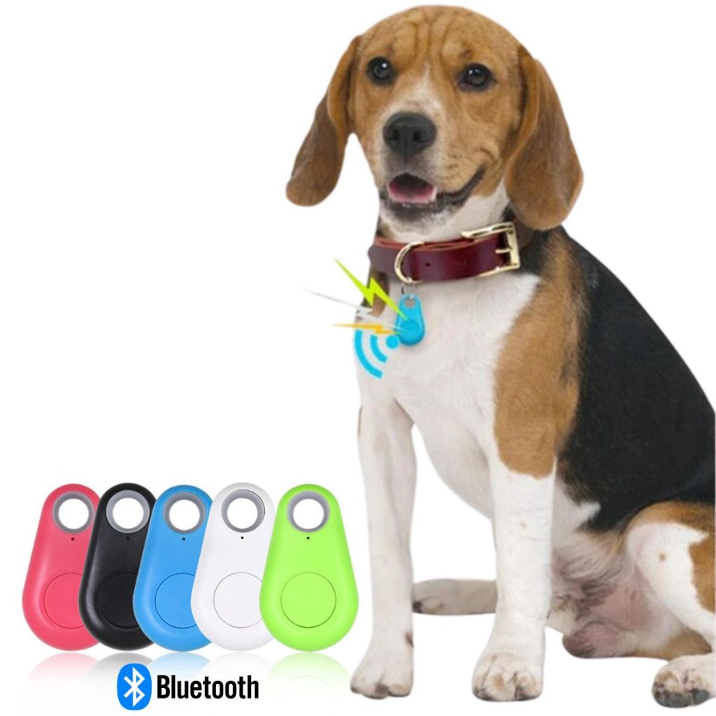 Rastreador Gps Pets Gato Cachorro Localizador