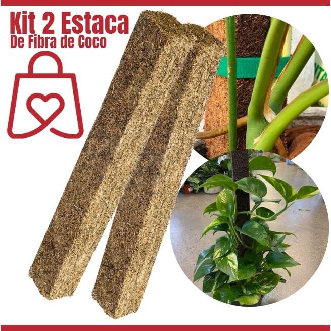 Kit 2 Estaca Xaxim Fibra De Coco 4cm Bastão Natural Orgânico Ecológico Para Planta Pendente Trepadeira Orquideas Jibóia