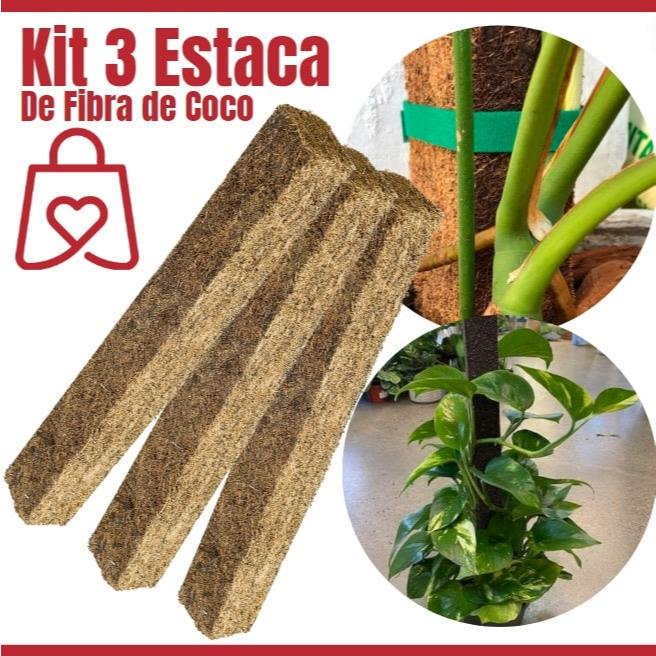 Kit 3 Estaca Xaxim Fibra De Coco 4cm Bastão Natural Orgânico Ecológico Para Planta Pendente Trepadeira Orquideas Jibóia
