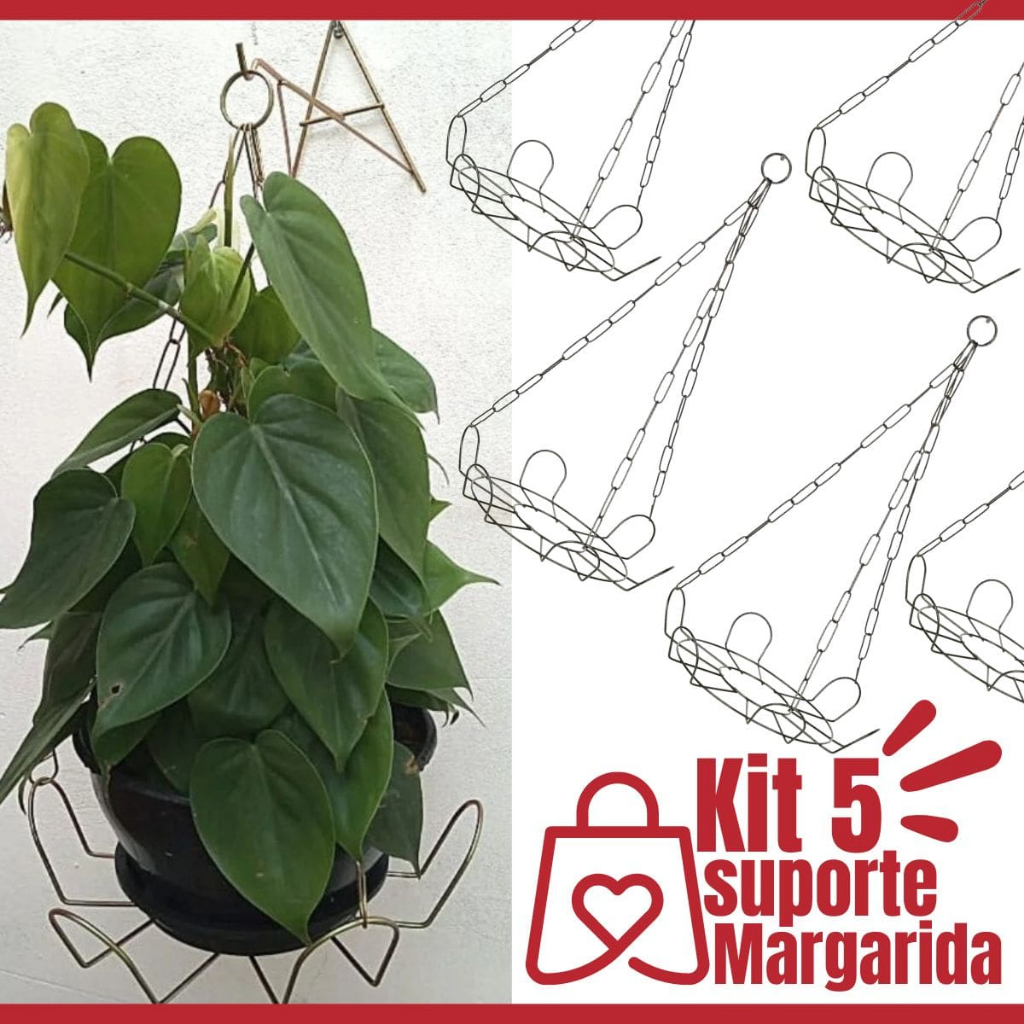 Kit 5 Suporte De Parede Tipo Margarida Preto Para Planta Pendente Artístico Suspenso de Teto + Corrente de Metal 44cm