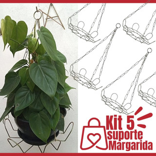 Kit 5 Suporte De Parede Tipo Margarida Preto Para Planta Pendente Artístico Suspenso de Teto + Corrente de Metal 44cm