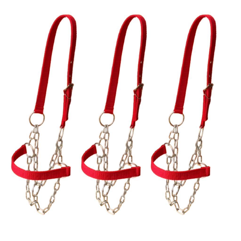 Kit 3 Cabrestos de Vaca Para Guia do Animal Modelo Resistente a Pronta Entrega em Oferta na Shopee