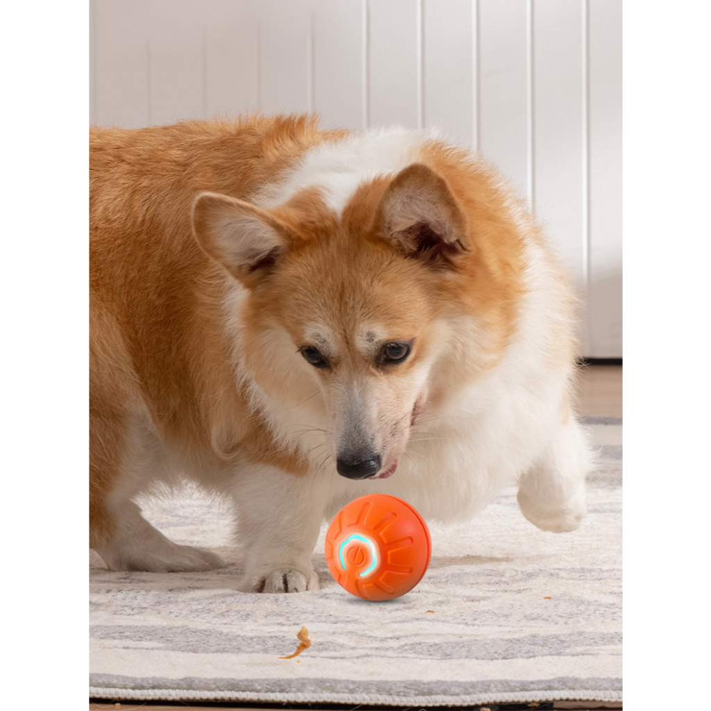 Bola de brinquedo elétrica para animais de estimação, alivia o tédio de animais de estimação, adequada para cães e gatos