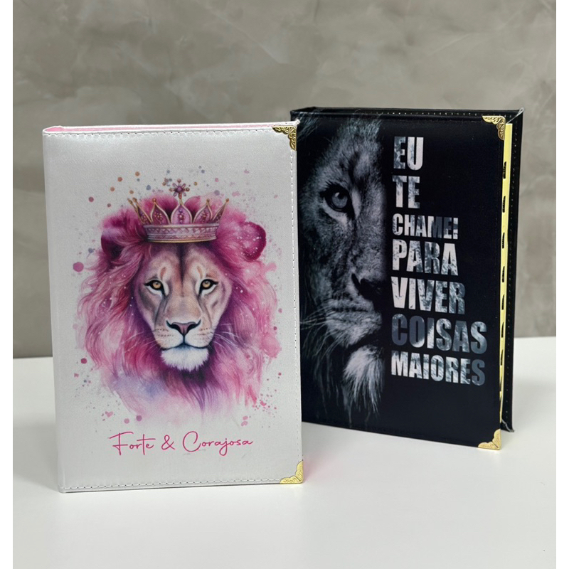 Bíblia Linguagem Simples: Onde Comprar | BuscaProdutos