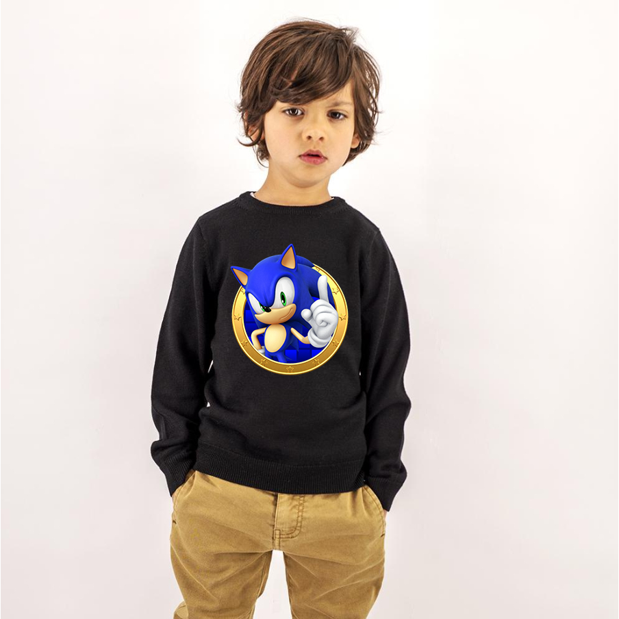 Moletom Infantil blusa flanelada Menino Inverno Manga longa 2 ao 8 Masculino Estampada Sonic
